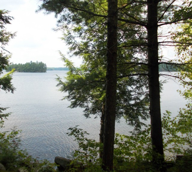 10 Spur 4, Trent Lakes Ontario