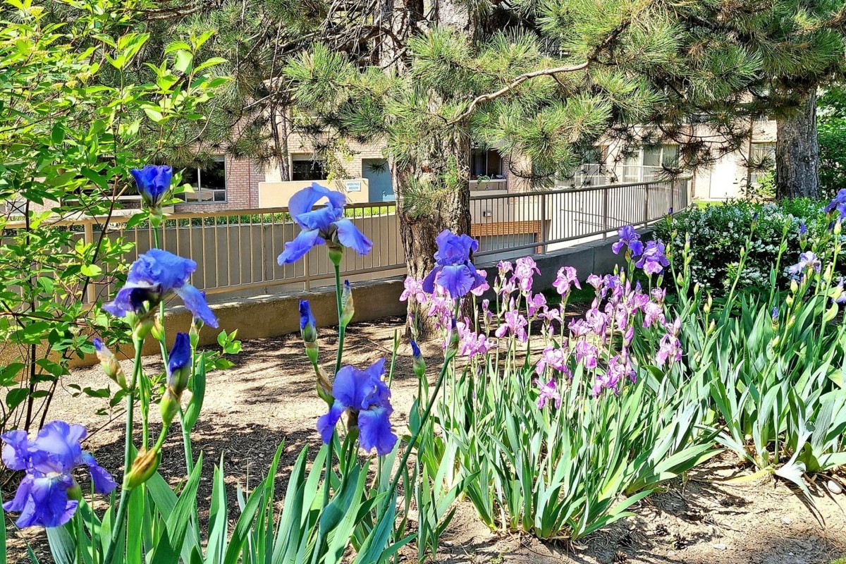 1210 Don Mills Rd #614, Toronto, Ontario, Canada photo 37