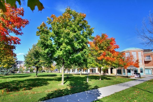 28 Spring Meadow Ave, Markham, Ontario, Canada photo 27