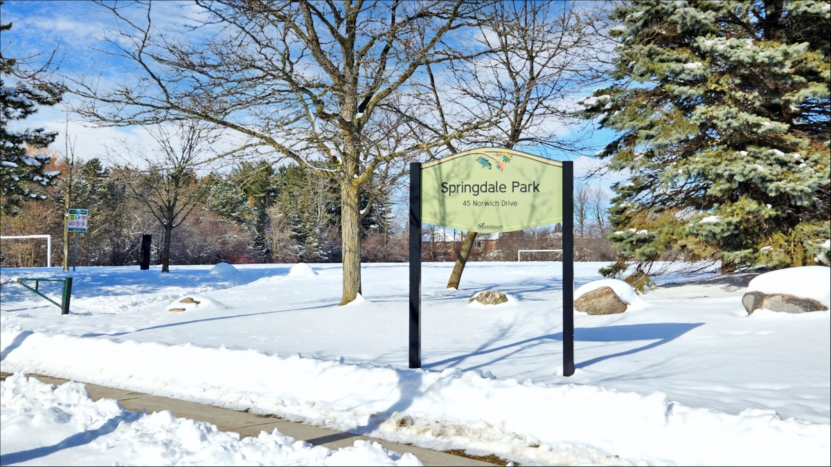 52 Sanderling Drive, Markham, Ontario, Canada photo 39