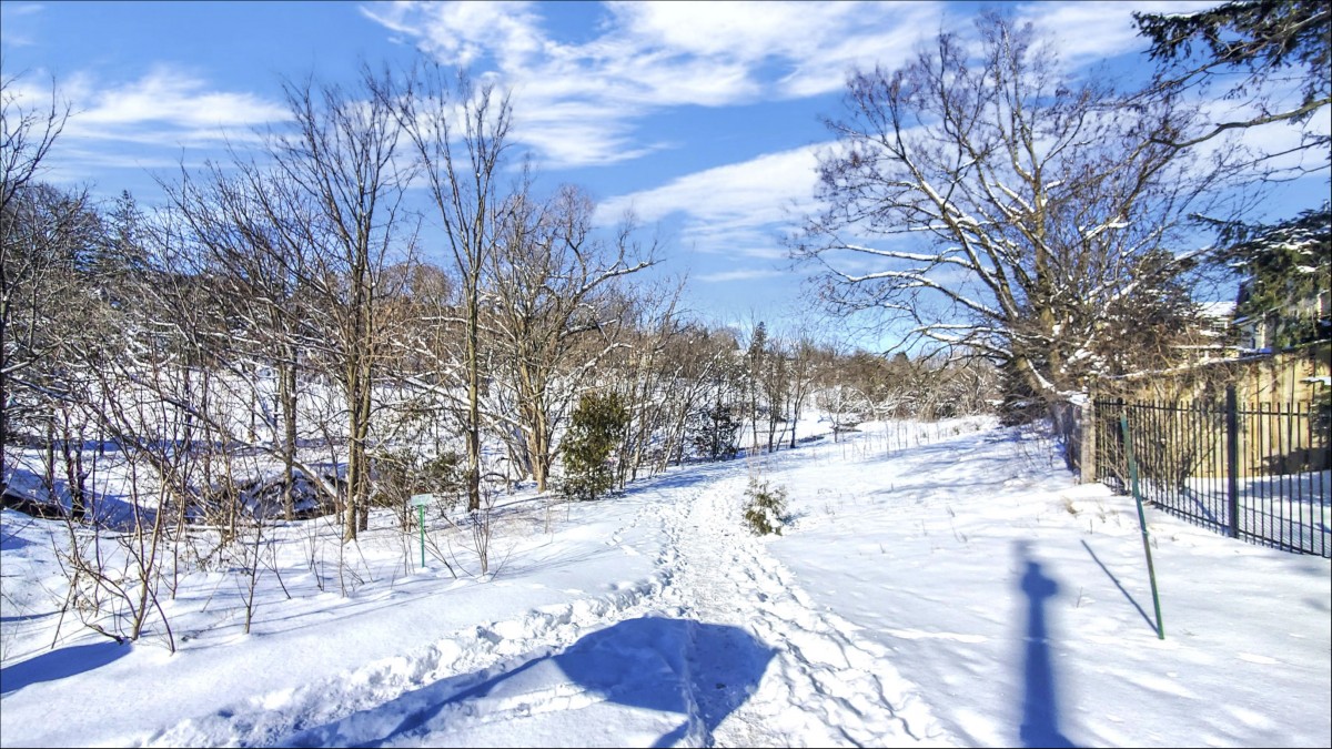 34 Bramble Way, Markham, Ontario, Canada photo 29