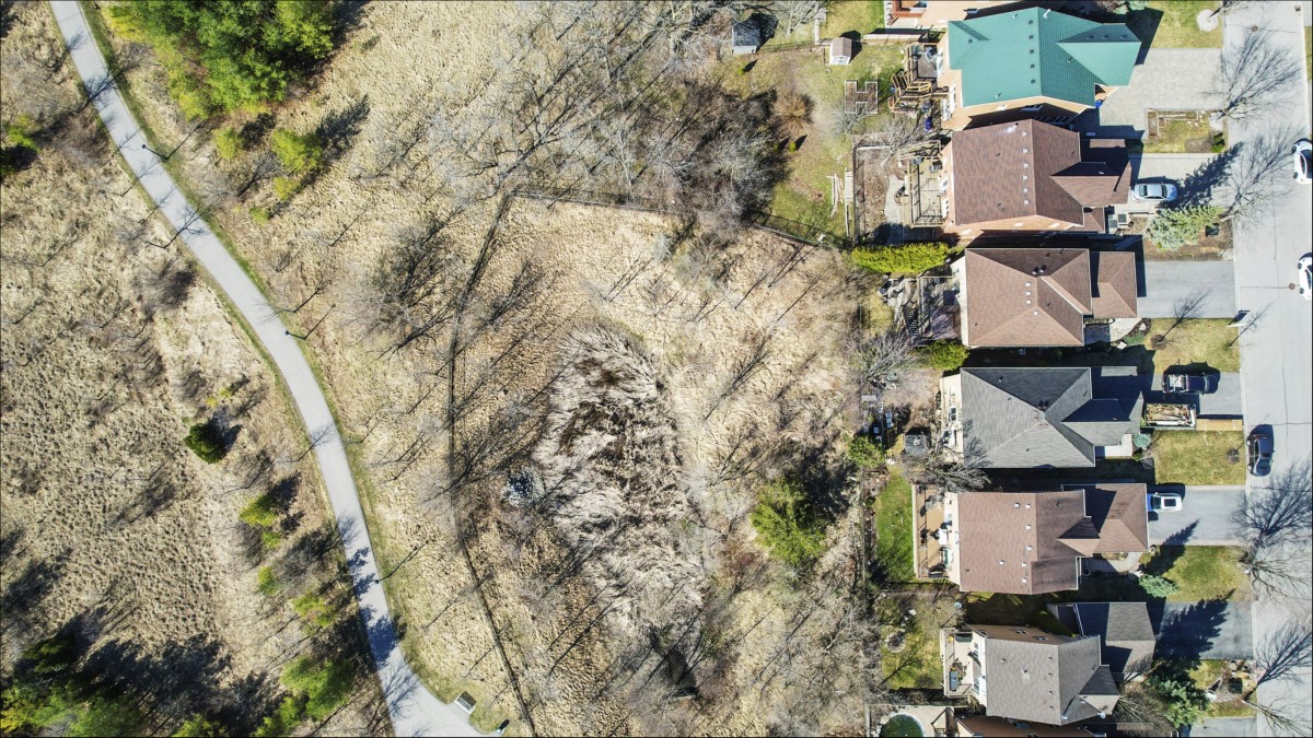 66 Foxtail Ridge, Newmarket, Ontario, Canada photo 75