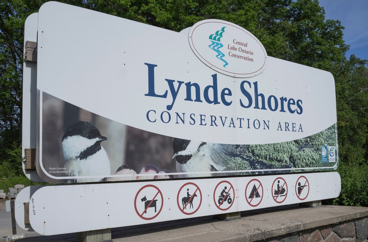 1604 Charles Street #118, Whitby, Ontario, Canada photo 23