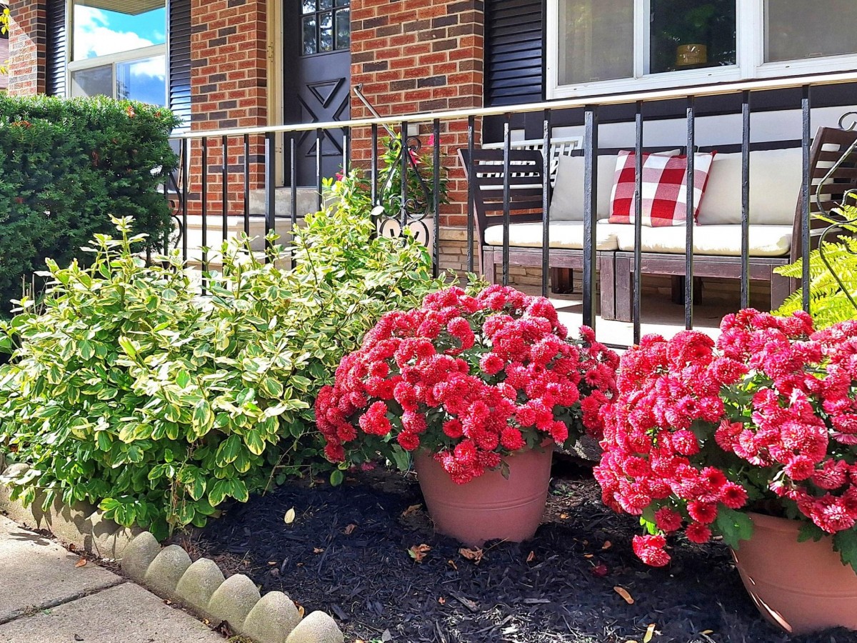 70 Ramona Blvd, Markham, Ontario, Canada photo 14