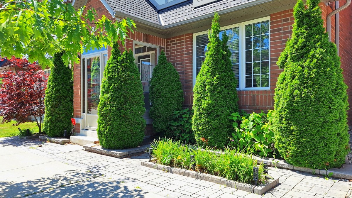 4 Wagon Works Street, Markham, Ontario, Canada photo 6