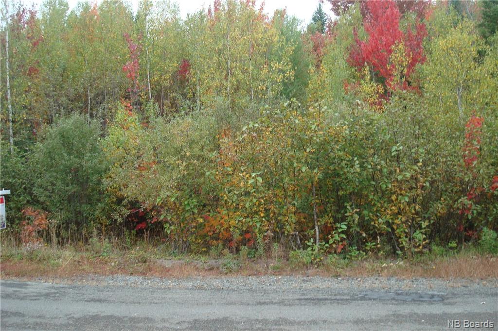 Lot 97-3 Leonard Street, Rusagonis, New Brunswick, Canada