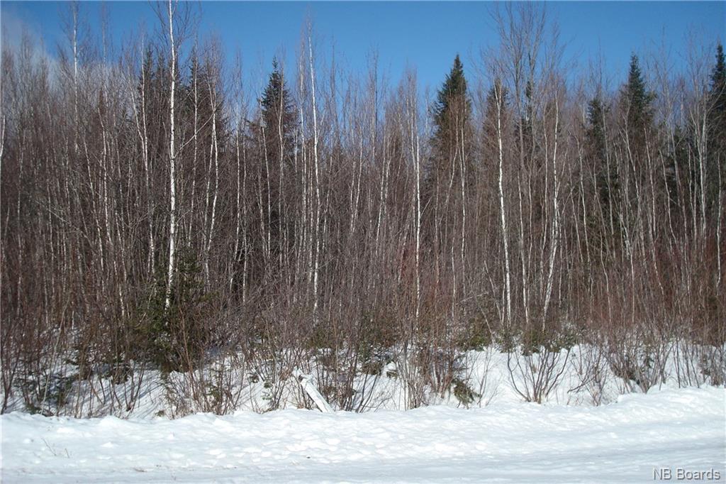 Lot 97-3 Leonard Street, Rusagonis, New Brunswick, Canada