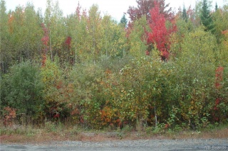 Lot 97-3 Leonard Street, Rusagonis New Brunswick, Canada