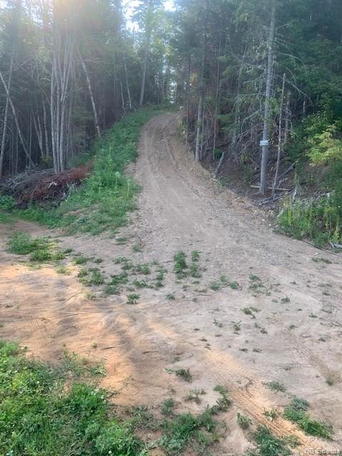 1370 Route 390, Gladwyn, New Brunswick, Canada
