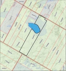 Woodlot Hartin Settlement Road, Canterbury New Brunswick, Canada