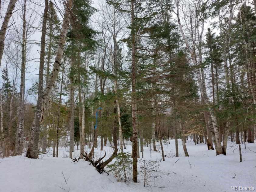 Lot 14 Margaret Avenue, Upper Kingsclear, New Brunswick, Canada
