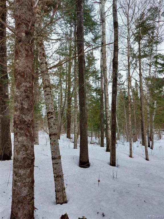 Lot 14 Margaret Avenue, Upper Kingsclear, New Brunswick, Canada