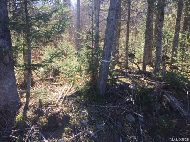 896 Route 740, Basswood Ridge, New Brunswick, Canada