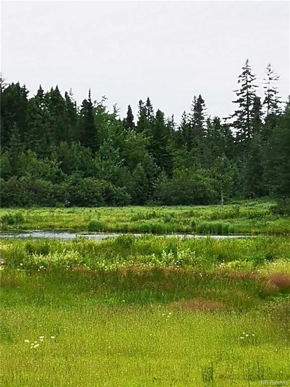 Land and Camp Lower Durham Road, Durham Bridge, New Brunswick, Canada