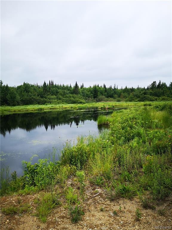 Land and Camp Lower Durham Road, Durham Bridge, New Brunswick, Canada
