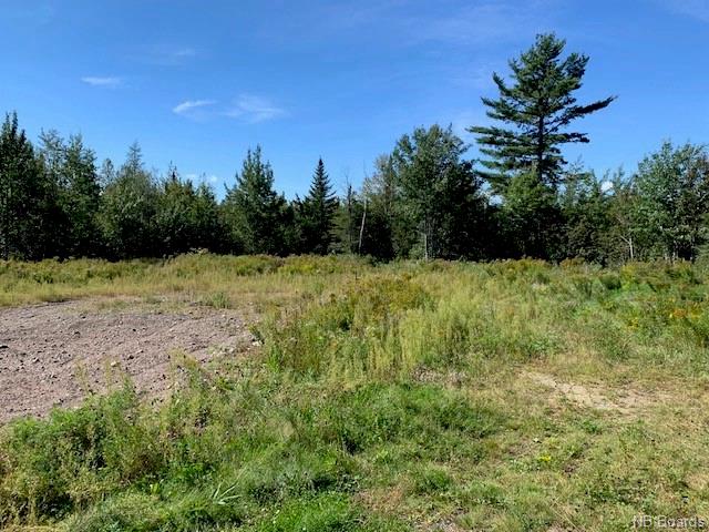 Lot Route 630, Andersonville, New Brunswick, Canada