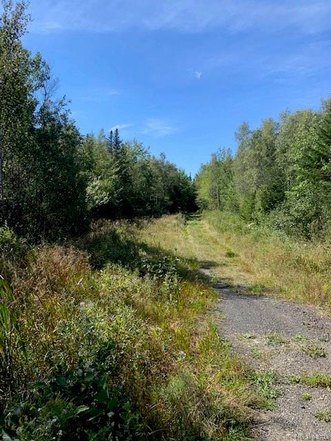 Lot Route 630, Andersonville, New Brunswick, Canada