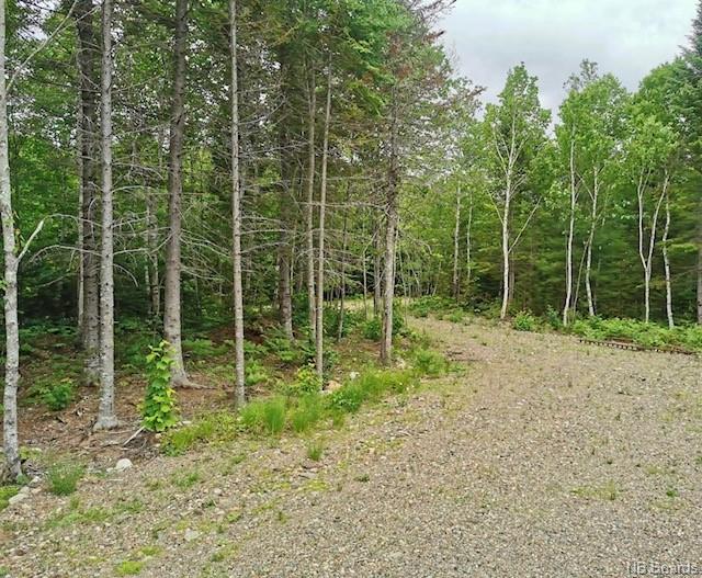 Camp & Lease Lane 26, Oromocto Lake, New Brunswick, Canada