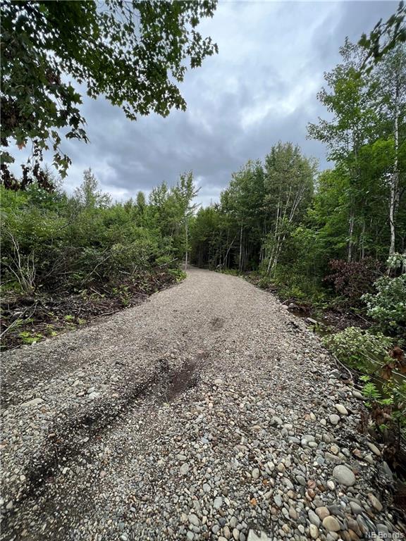 Vacant Land Route 630, Andersonville, New Brunswick, Canada