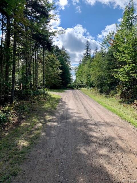 Lot 80-2 Plan 6817 Stephensons Landing Lane, Harvey New Brunswick, Canada