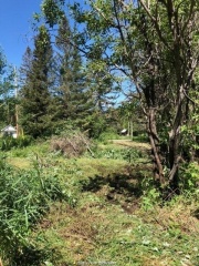 730 Dean Lake