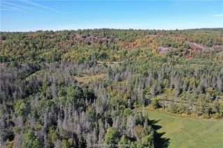 Paradis Road, Massey Ontario