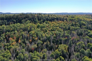 Paradis Road, Massey Ontario