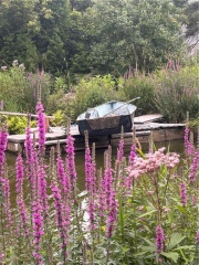 11a Myhill Road, Walford Ontario