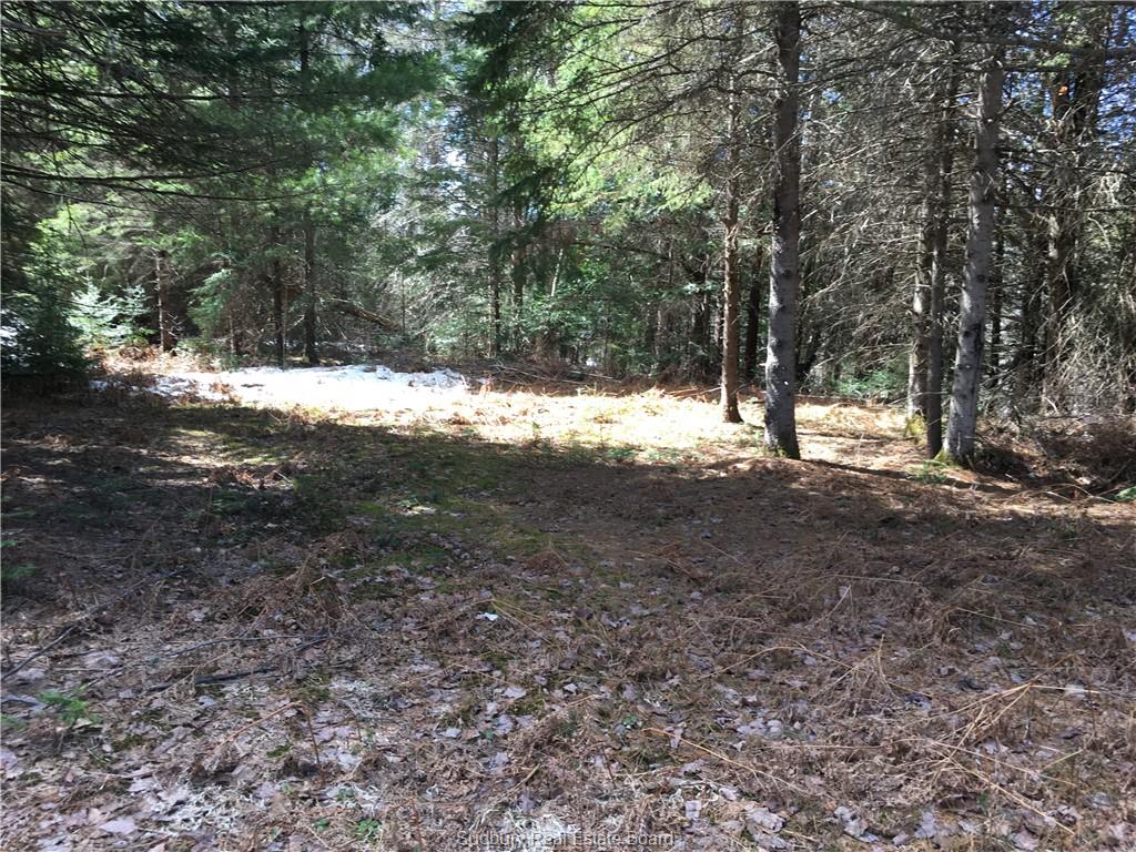 Lot 4 Lacloche Lake Road, Massey Ontario, Canada
