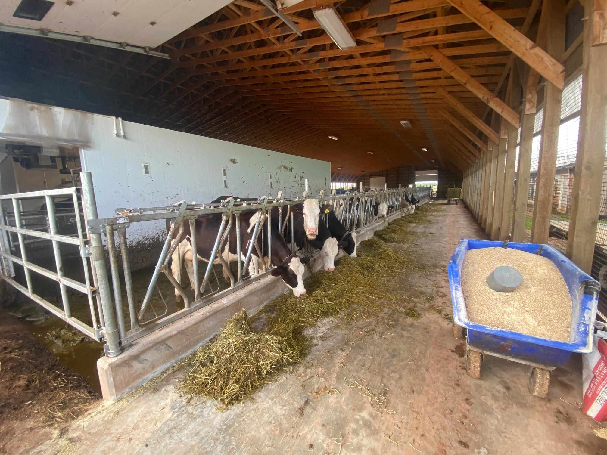 1242 / 1246 Kingston Road, Kingston, Prince Edward Island, Canada