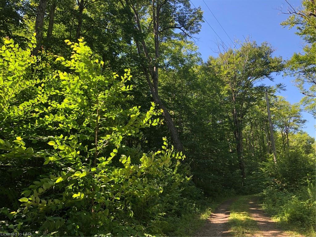 1150 LAWSON Road Unit# 6, Baysville Ontario, Canada
