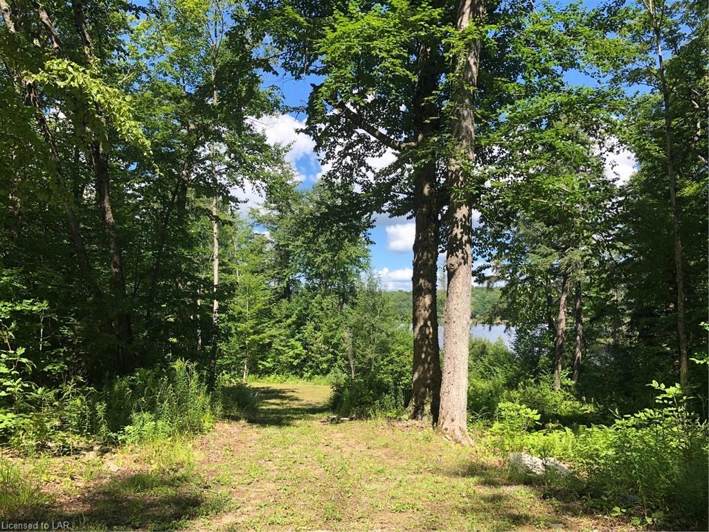 1150 LAWSON Road Unit# 6, Baysville Ontario, Canada