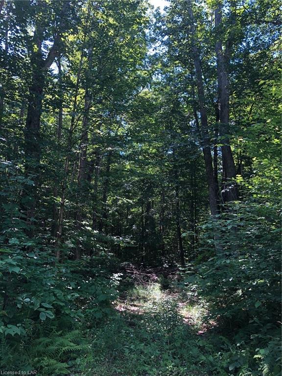 1150 LAWSON Road Unit# 6, Baysville Ontario, Canada