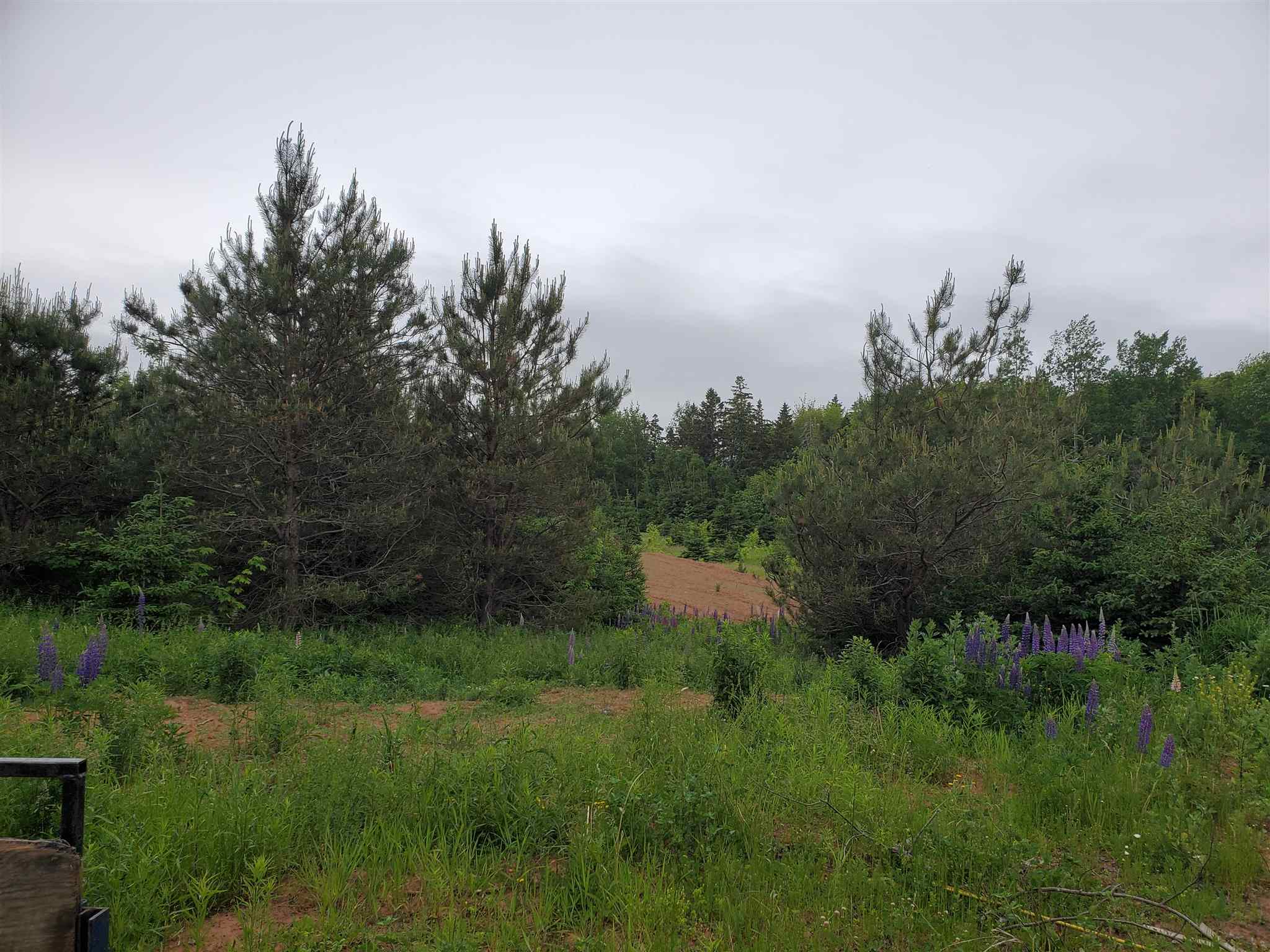 Lot Sunset Drive, Oyster Bed Bridge, Prince Edward Island, Canada