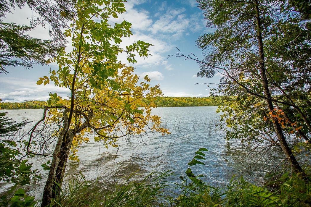 1014 Puddingstone Road, Desbarats Ontario, Canada