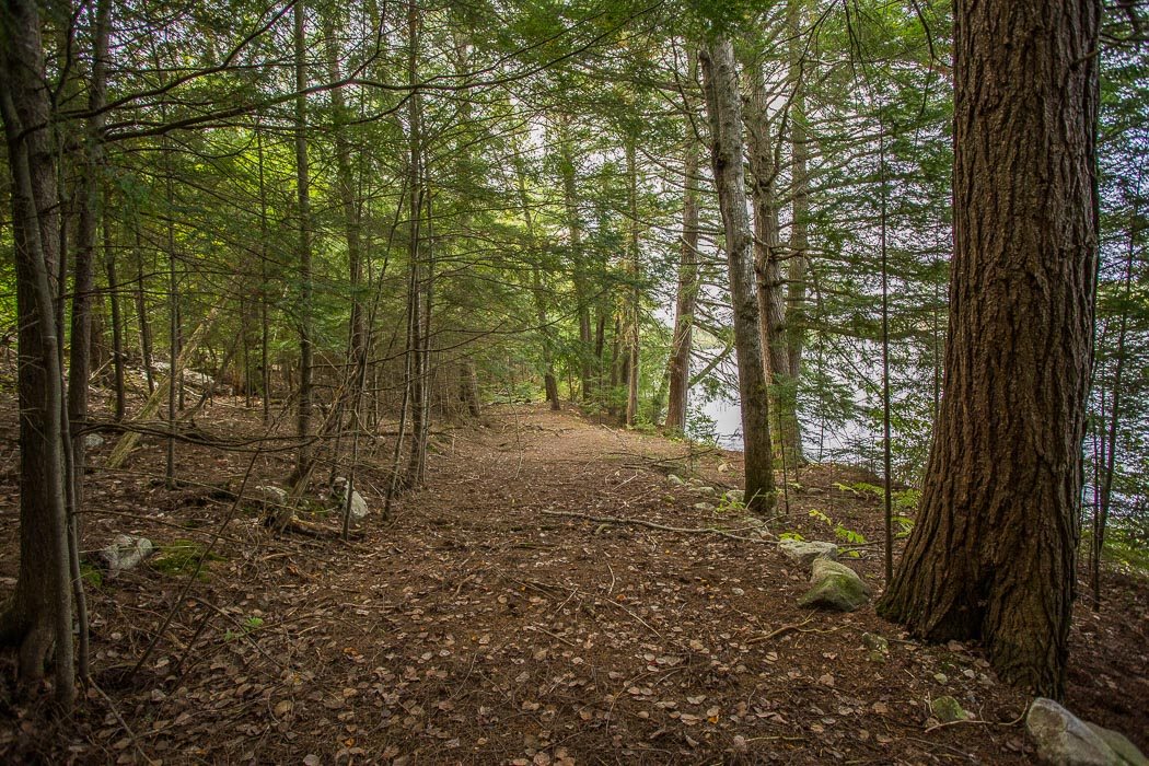 1014 Puddingstone Road, Desbarats Ontario, Canada