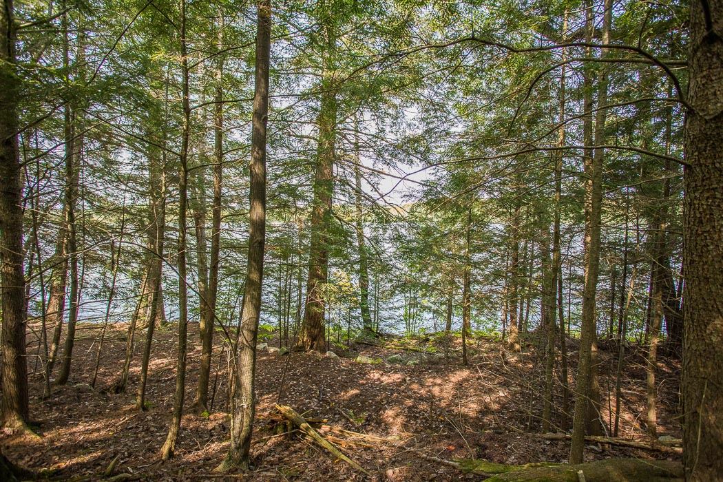 1014 Puddingstone Road, Desbarats Ontario, Canada