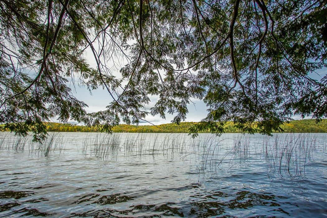 1014 Puddingstone Road, Desbarats Ontario, Canada