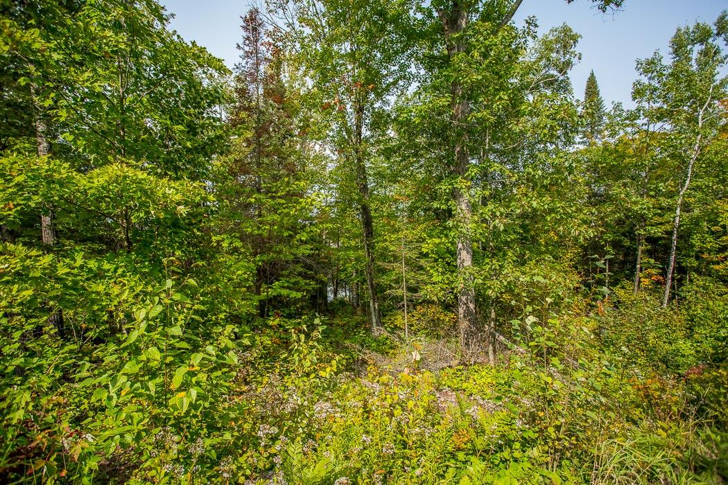 1014 Puddingstone Road, Desbarats Ontario, Canada