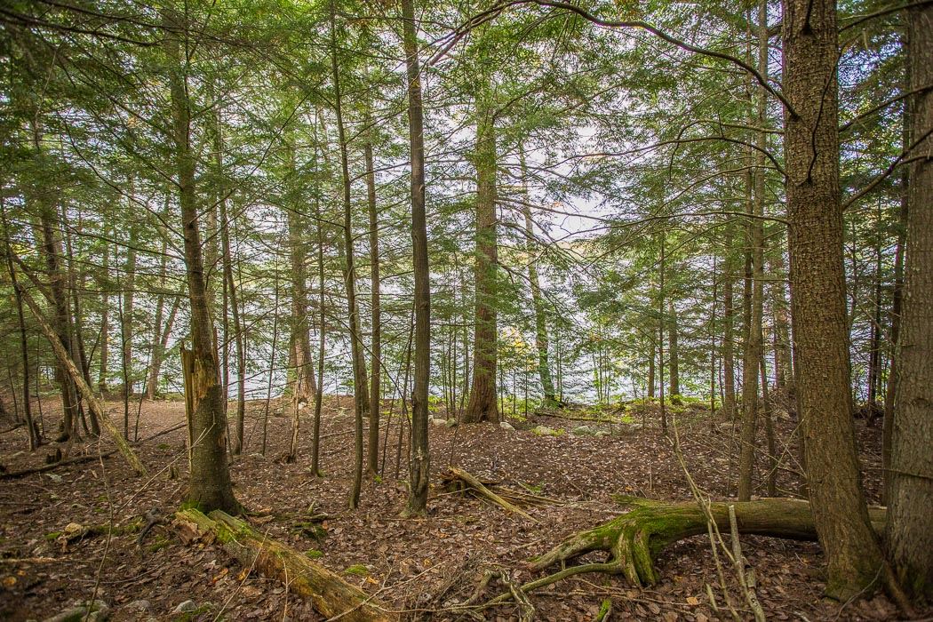1014 Puddingstone Road, Desbarats Ontario, Canada