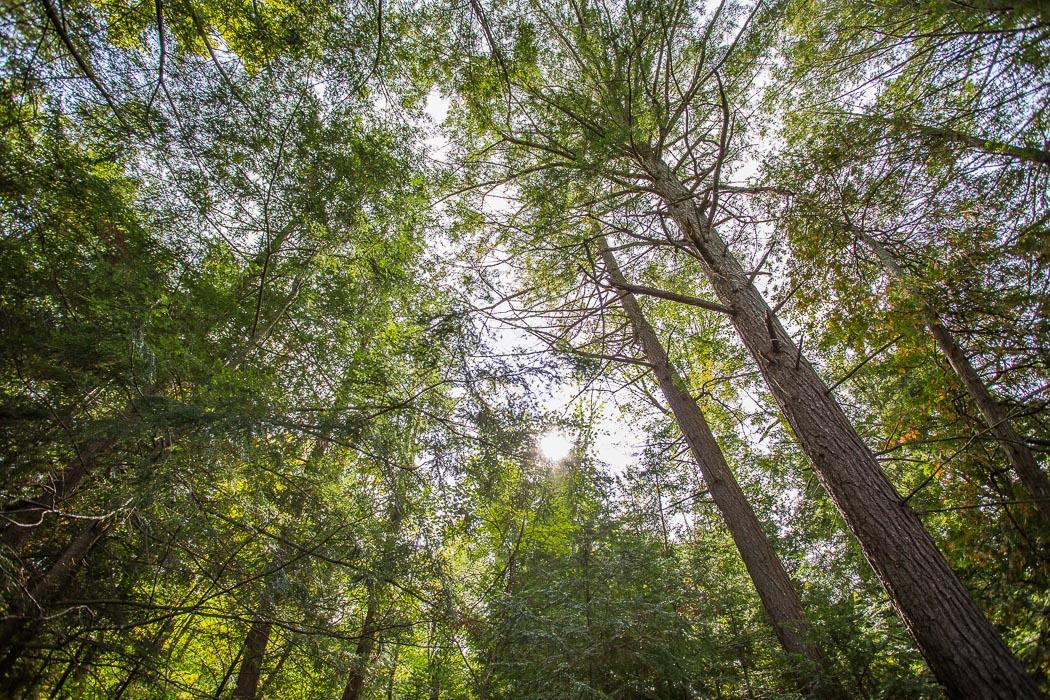 1014 Puddingstone Road, Desbarats Ontario, Canada