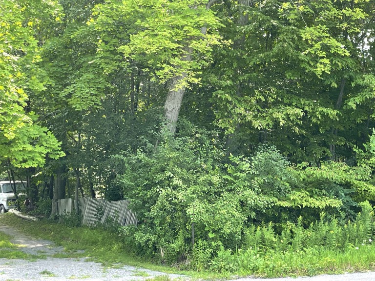1541 Hilliard Street, Peterborough, Ontario, Canada