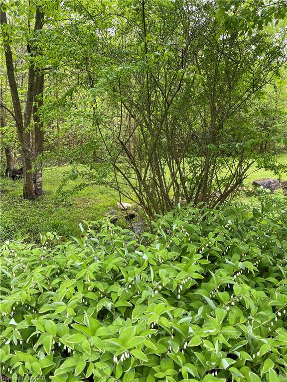 7271 MILBUROUGH Line, Milton, Ontario, Canada