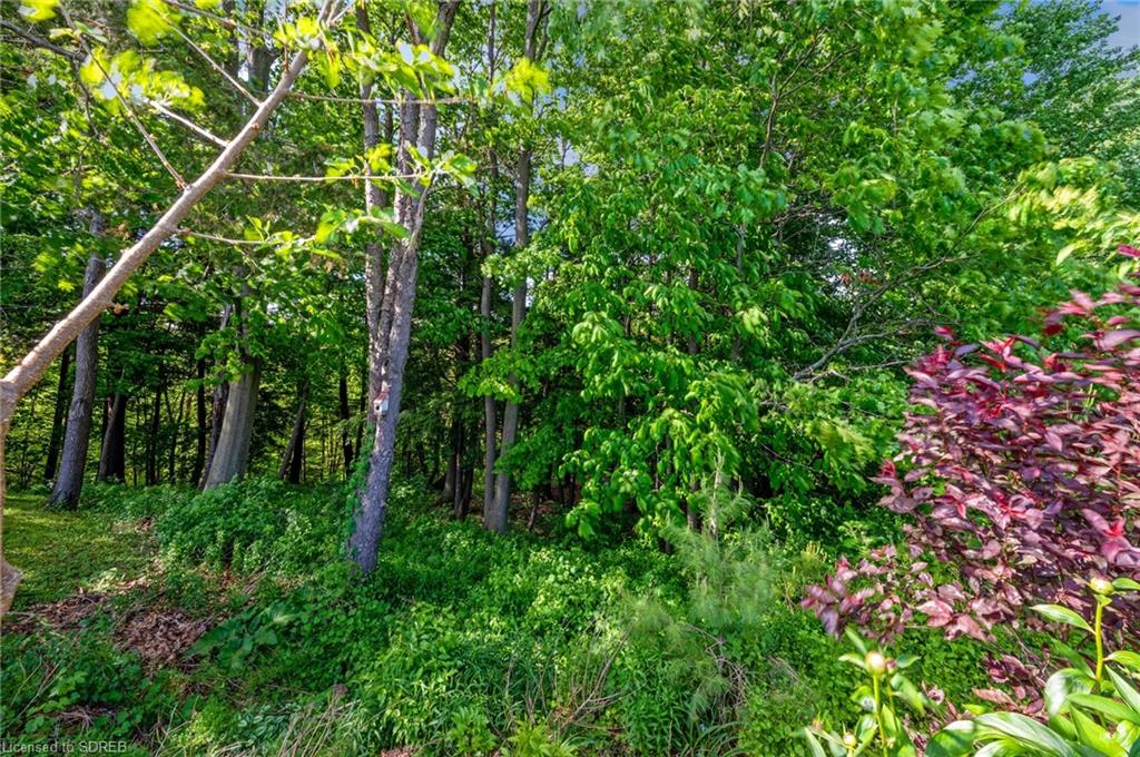 97 WILLOWDALE Crescent, Port Dover, Ontario, Canada