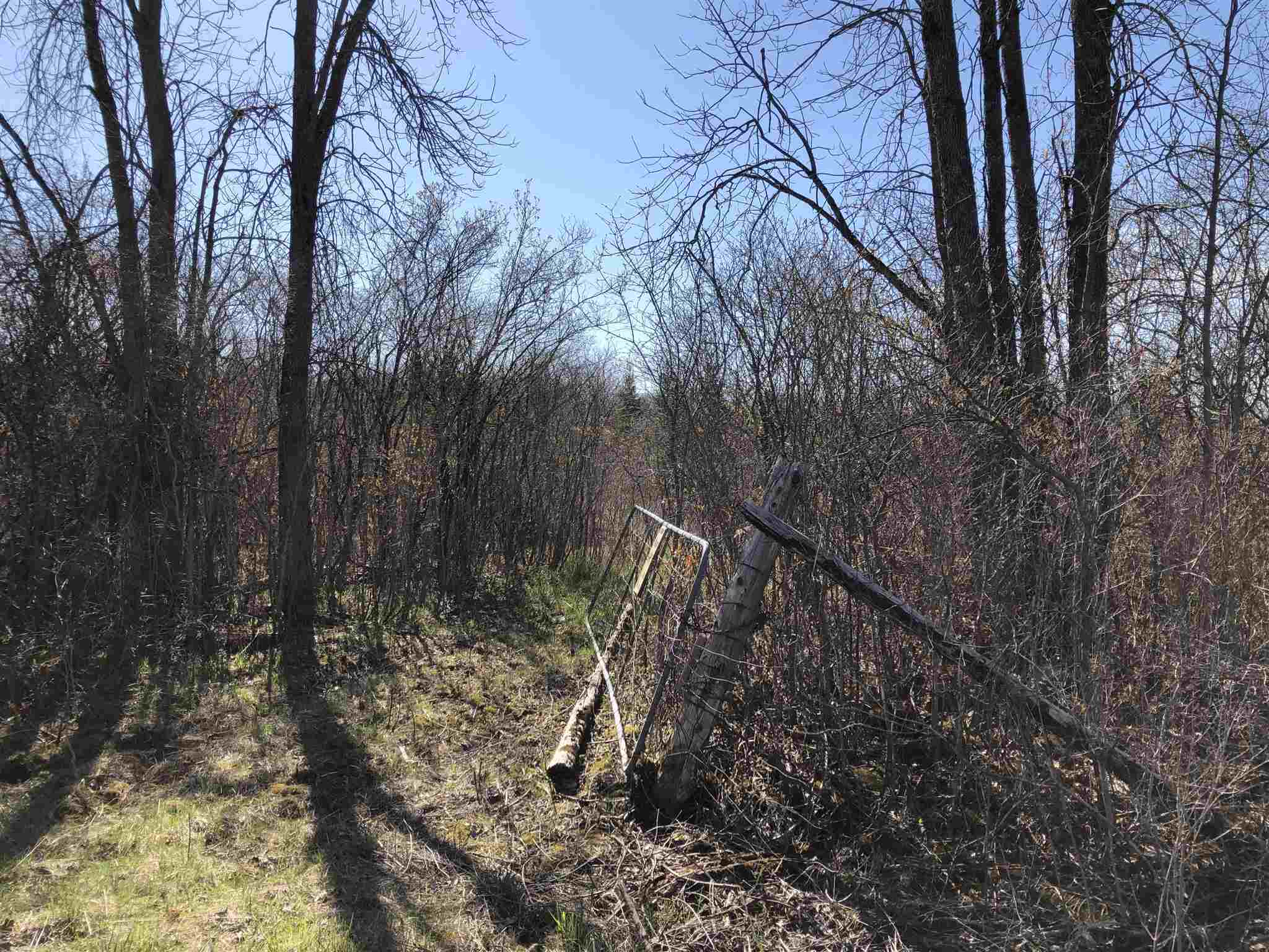 9th Concession Road, Enterprise, Ontario, Canada
