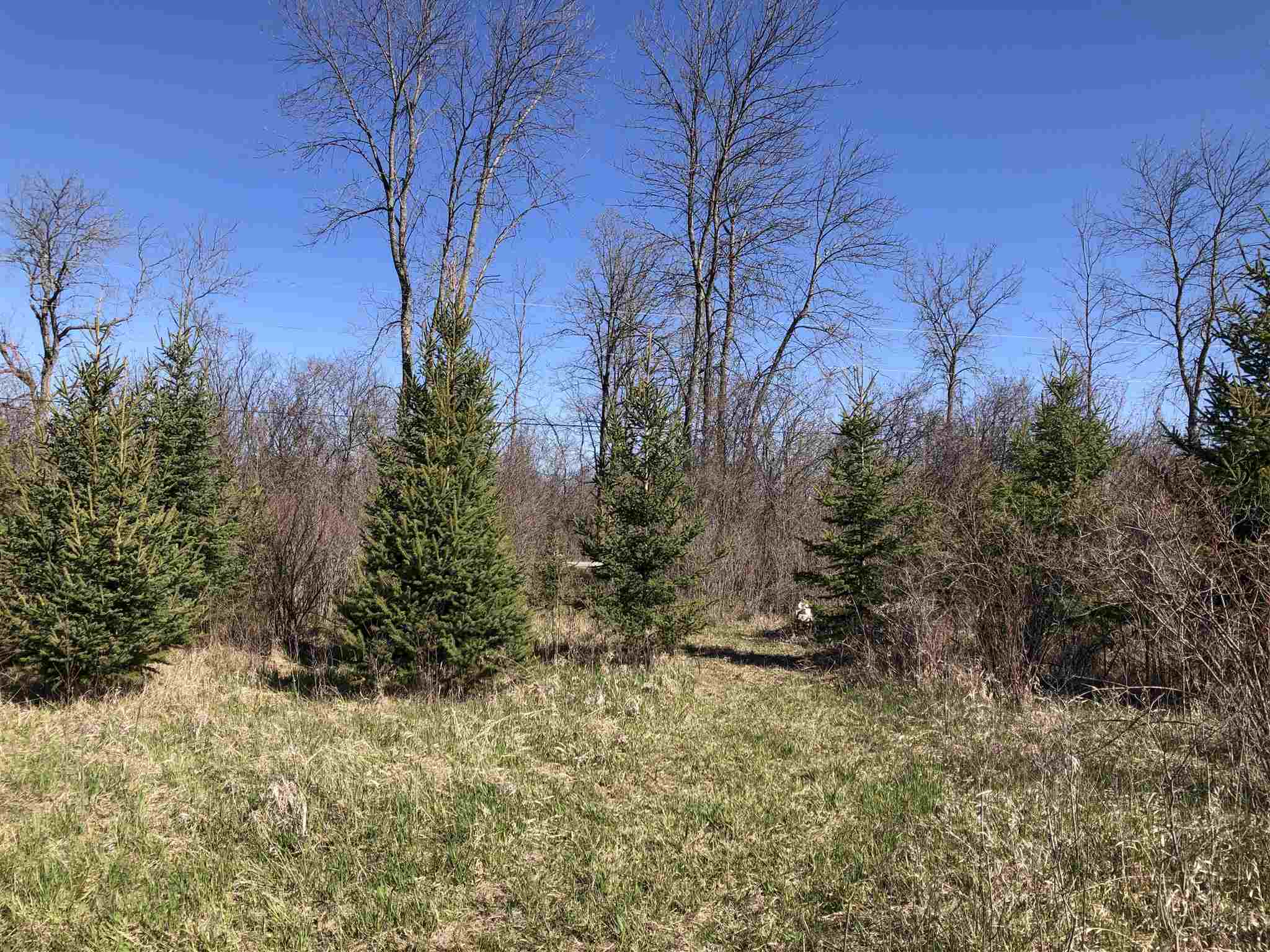 9th Concession Road, Enterprise, Ontario, Canada