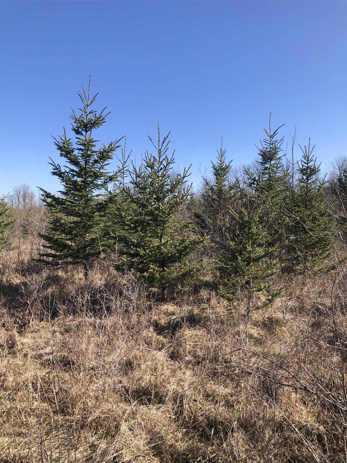9th Concession Road, Enterprise, Ontario, Canada