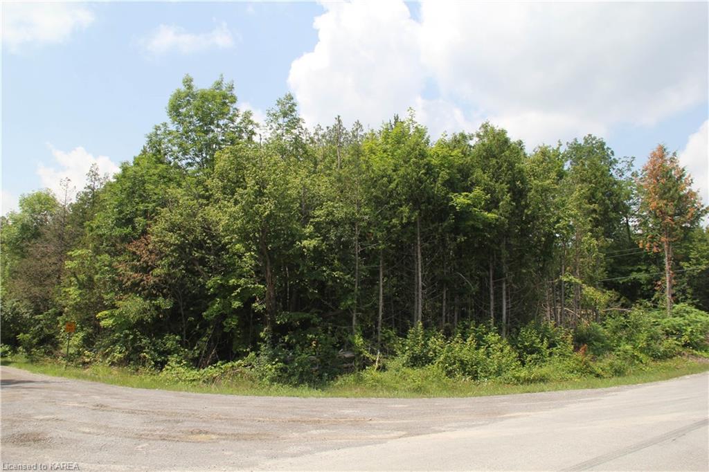 LIME LAKE Road, Roblin, Ontario, Canada