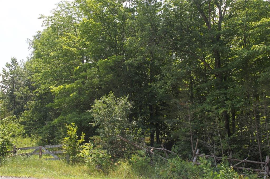 LIME LAKE Road, Roblin, Ontario, Canada