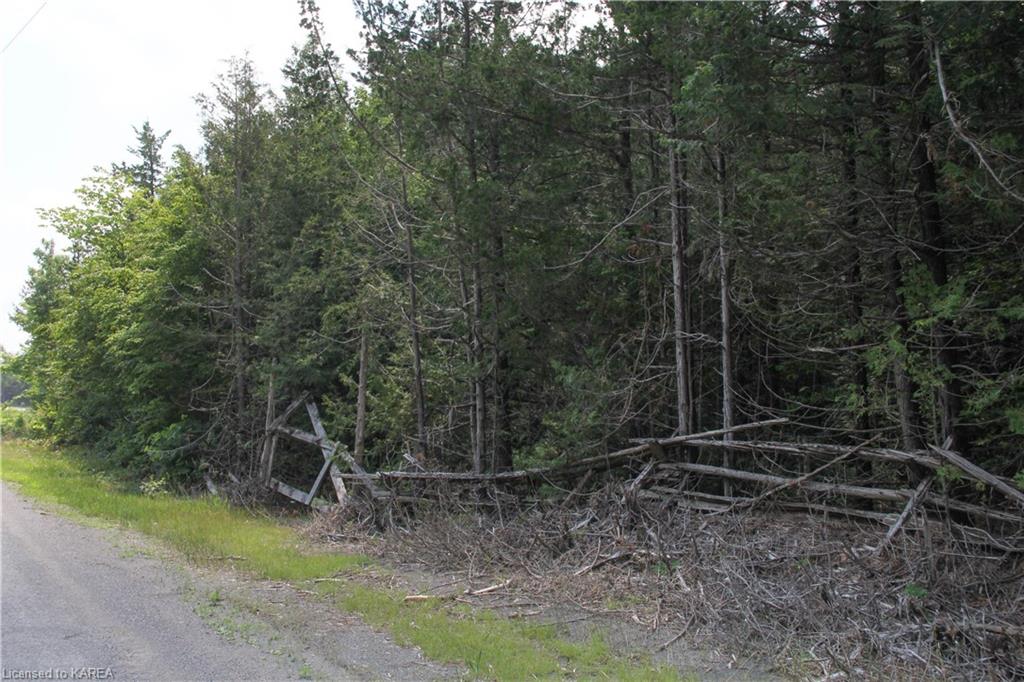 LIME LAKE Road, Roblin, Ontario, Canada